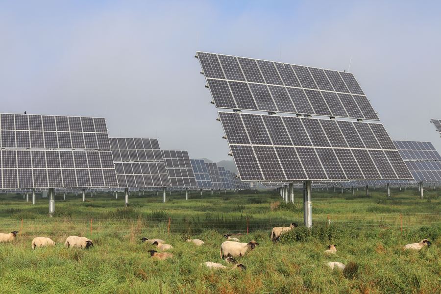 Conditions pour les installations agrivoltaïques